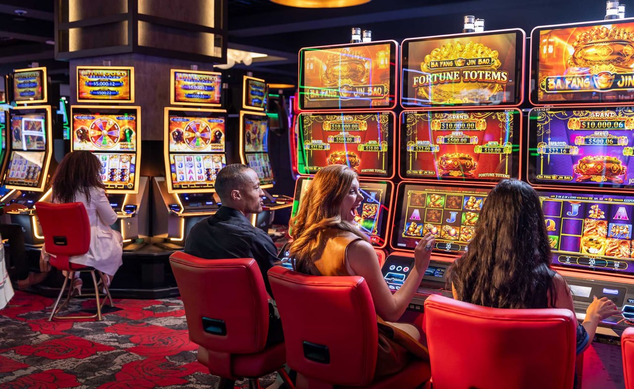 koitot MSC multi-studio casino lobby showing live-dealer table selection